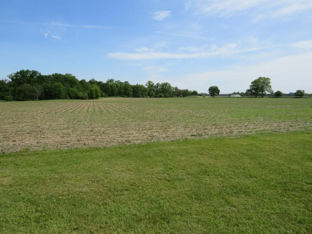 Rescue Road Grant Township, MI 48754