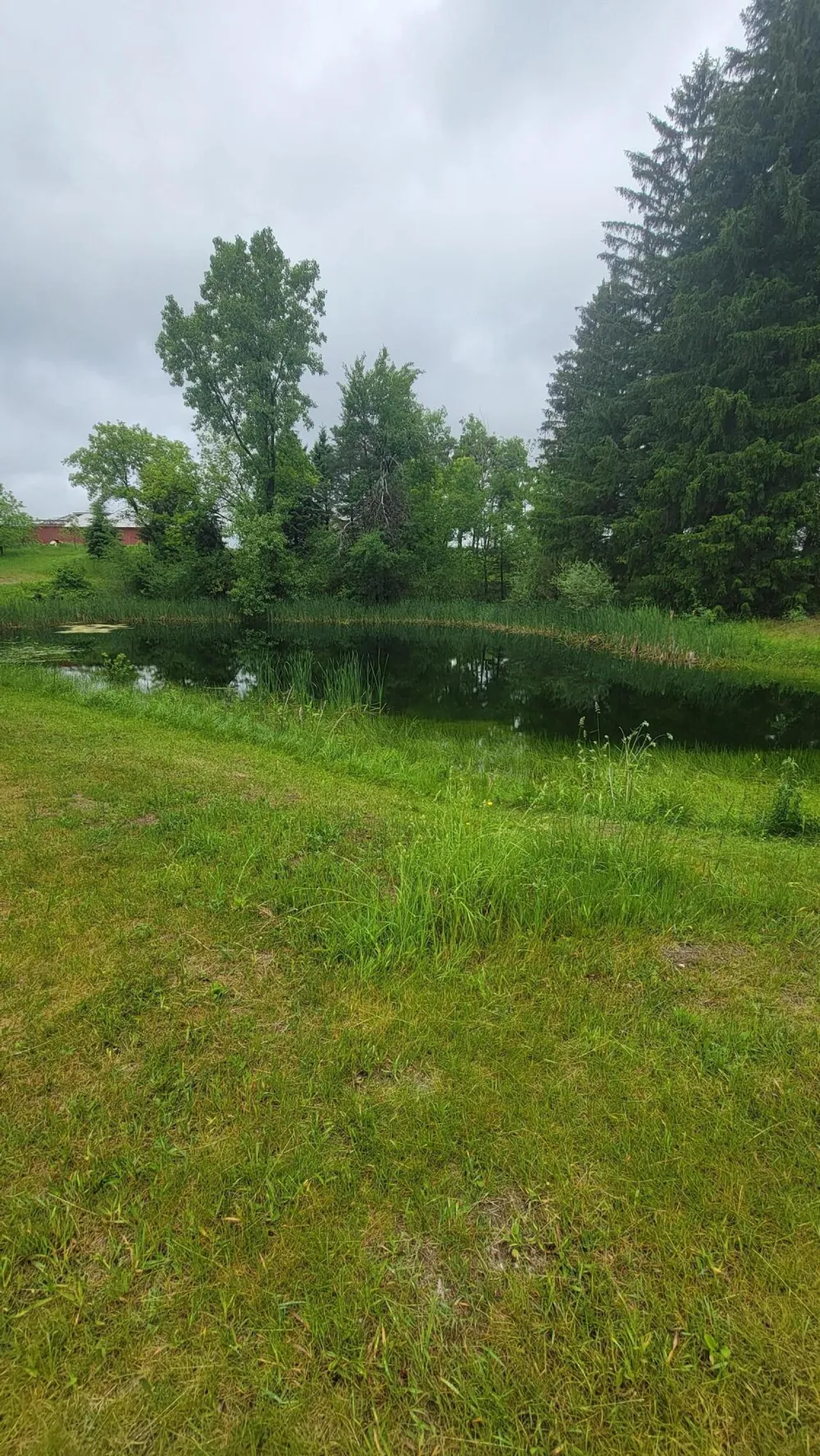 23580 22 Mile Road Green Charter Township, MI 49338