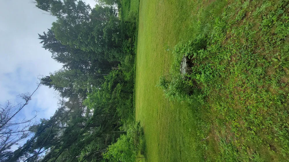 23580 22 Mile Road Green Charter Township, MI 49338