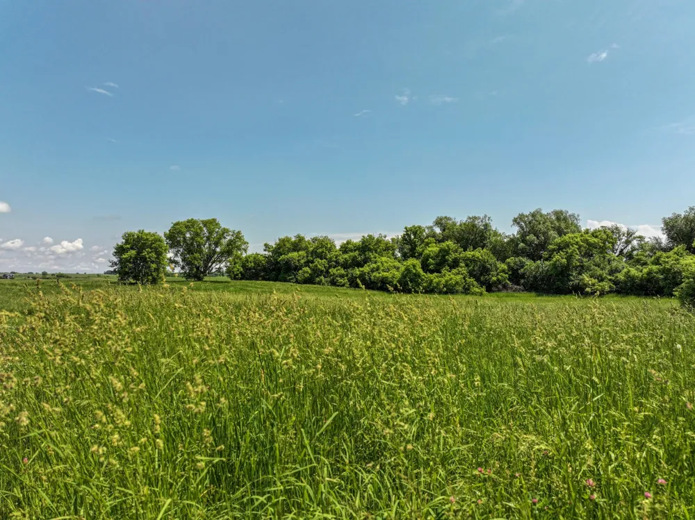 23569 County Road 99 SW Kensington, MN 56343