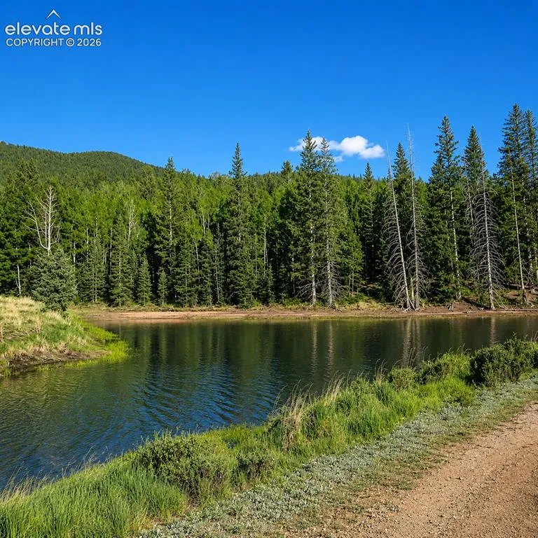 355 Maroon Lake Circle Divide, CO 80814