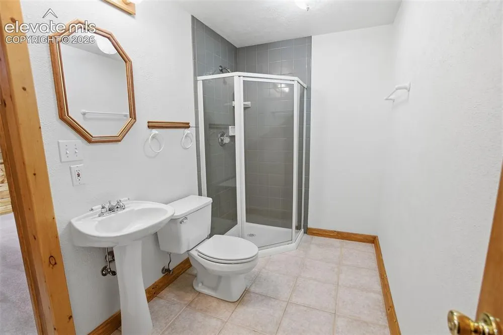 355 Maroon Lake Circle Divide, CO 80814