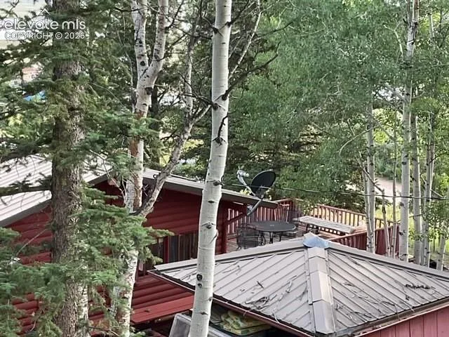 30 Brook Drive Lake George, CO 80827