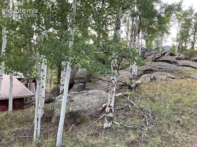 30 Brook Drive Lake George, CO 80827