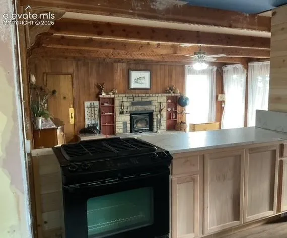 30 Brook Drive Lake George, CO 80827