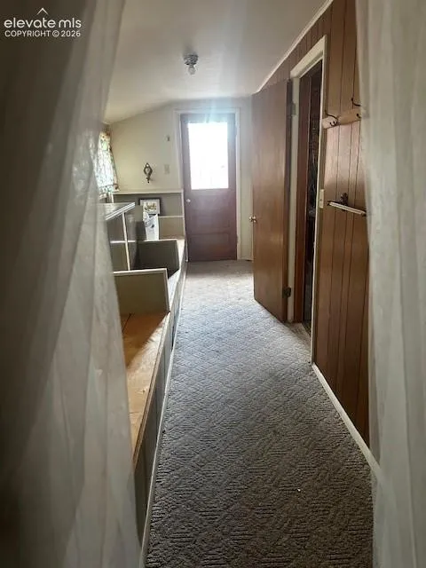 30 Brook Drive Lake George, CO 80827