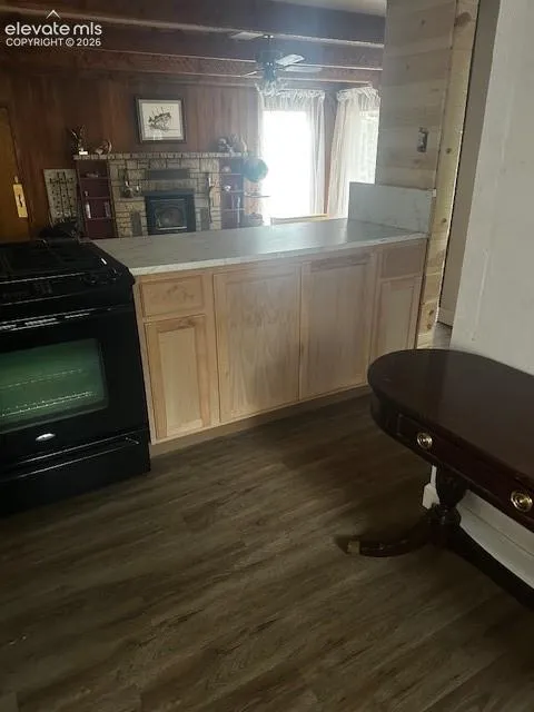 30 Brook Drive Lake George, CO 80827
