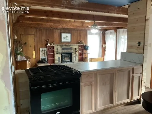 30 Brook Drive Lake George, CO 80827