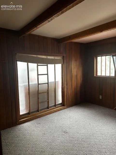 30 Brook Drive Lake George, CO 80827