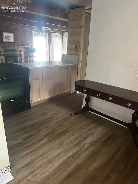 30 Brook Drive Lake George, CO 80827