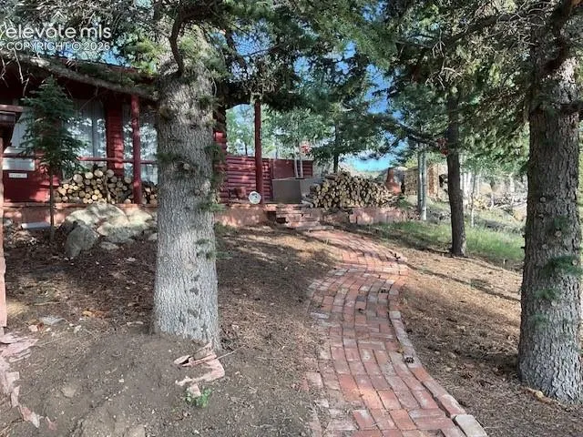 30 Brook Drive Lake George, CO 80827