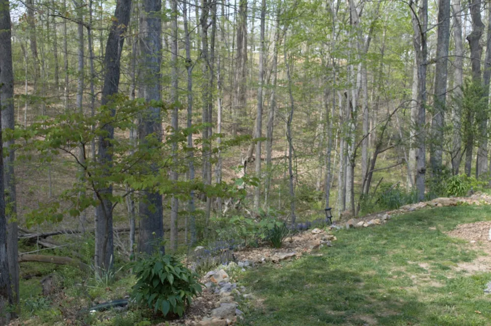 201 Glenwood Dr Goodlettsville, TN 37072