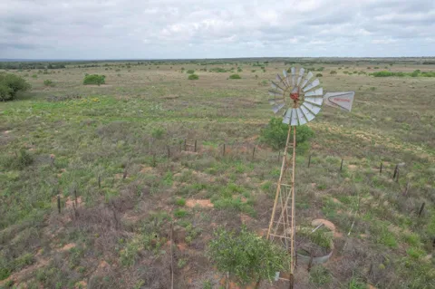 237.5 acres Cottle County