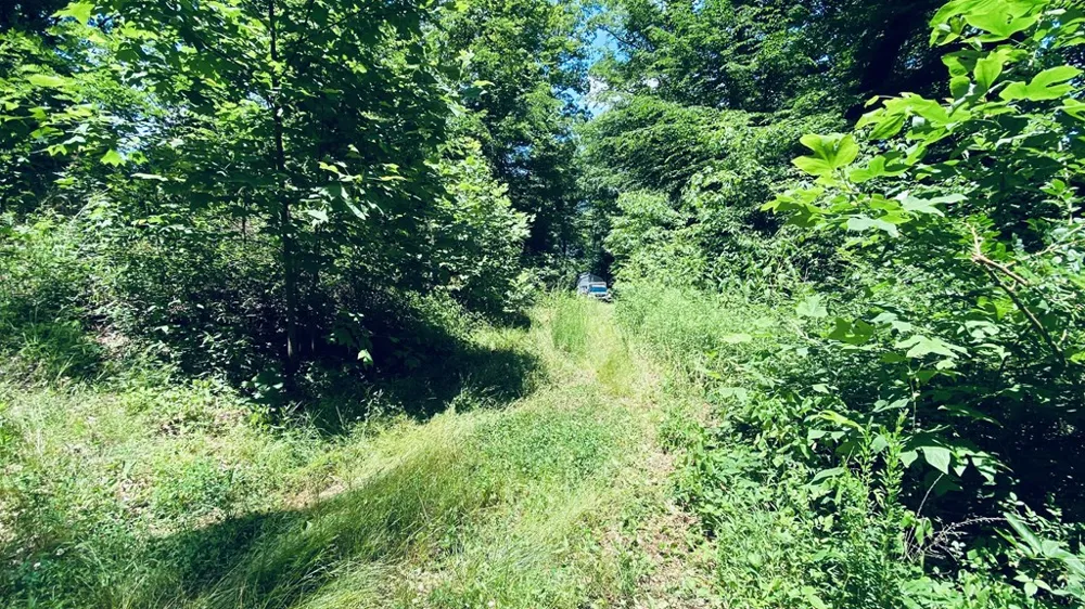 River Road Trace Franklin, NC 27516