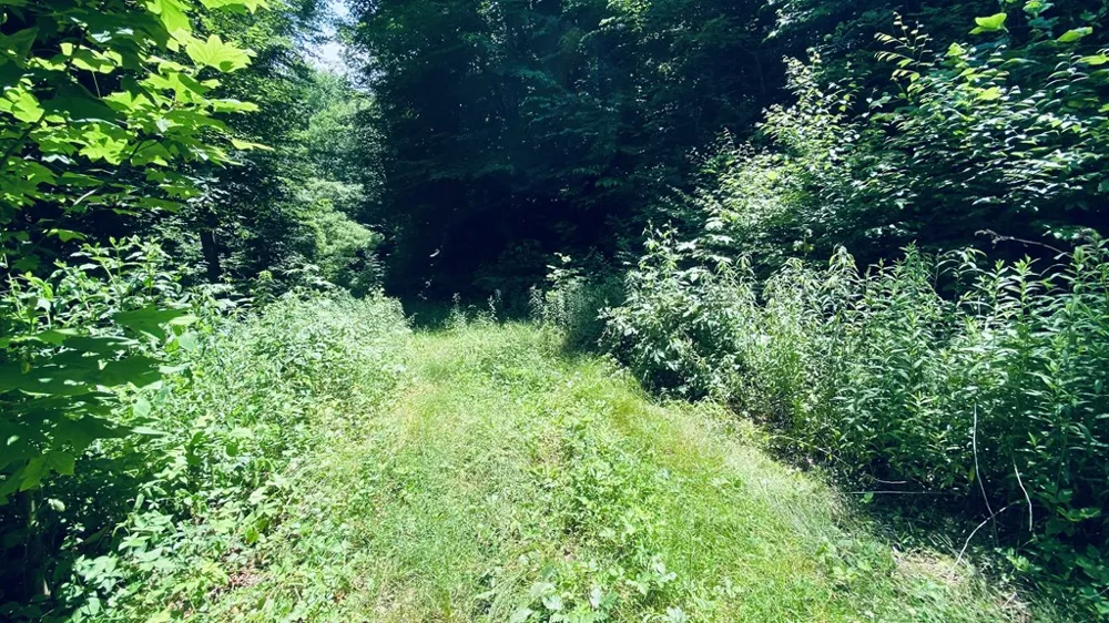 River Road Trace Franklin, NC 27516
