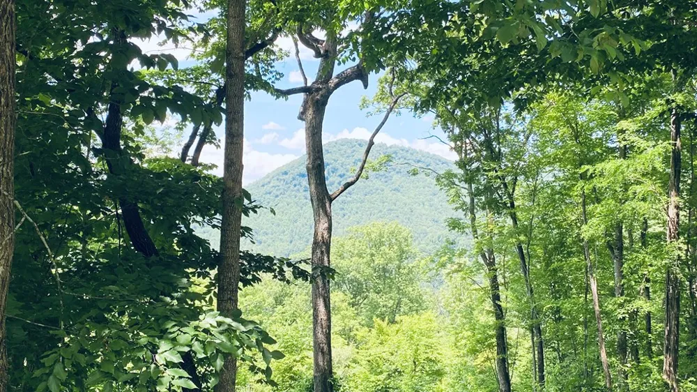River Road Trace Franklin, NC 27516