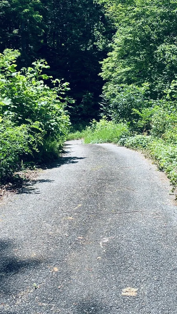 River Road Trace Franklin, NC 27516