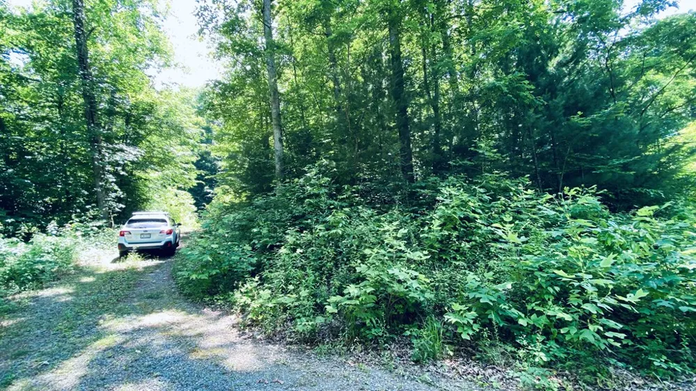 River Road Trace Franklin, NC 27516