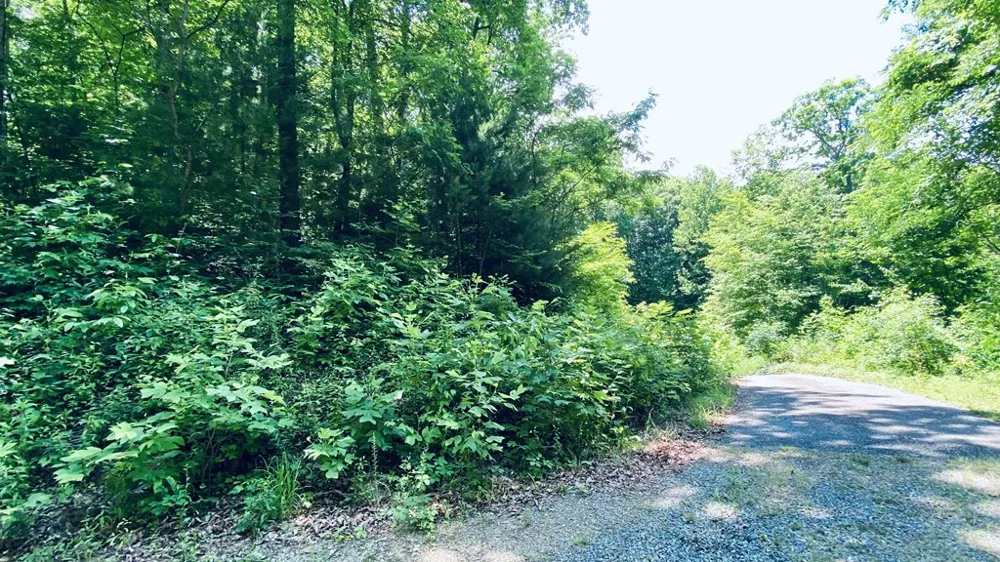 River Road Trace Franklin, NC 27516