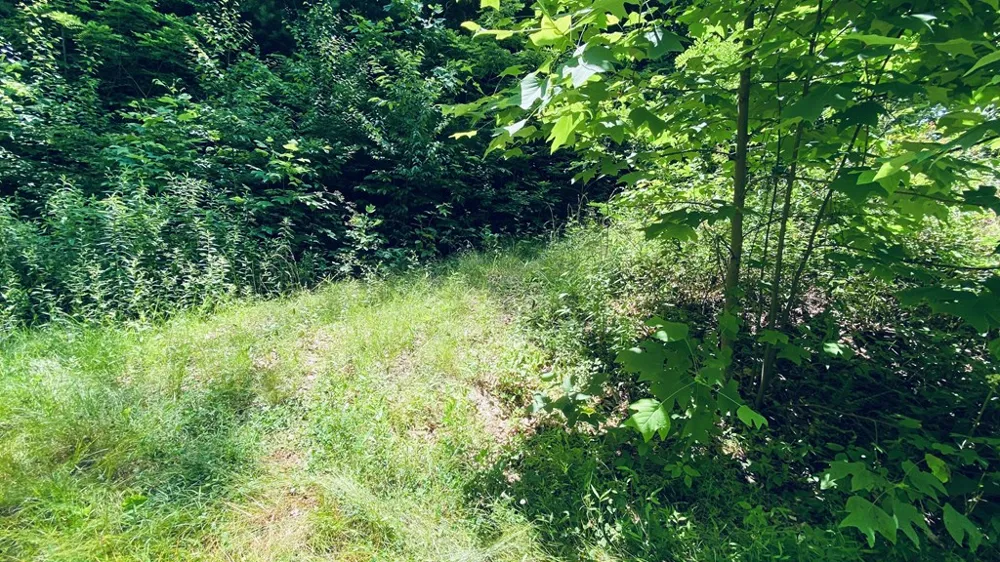 River Road Trace Franklin, NC 27516