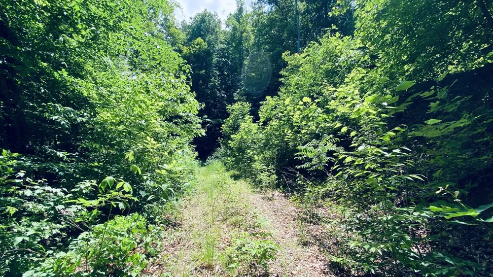 River Road Trace Franklin, NC 27516