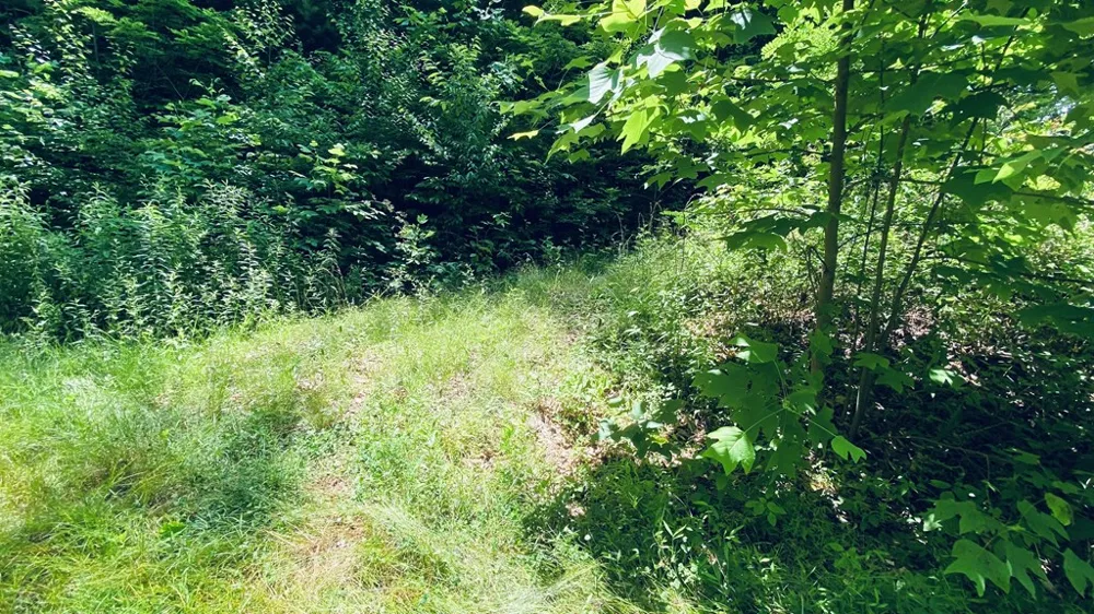 River Road Trace Franklin, NC 27516