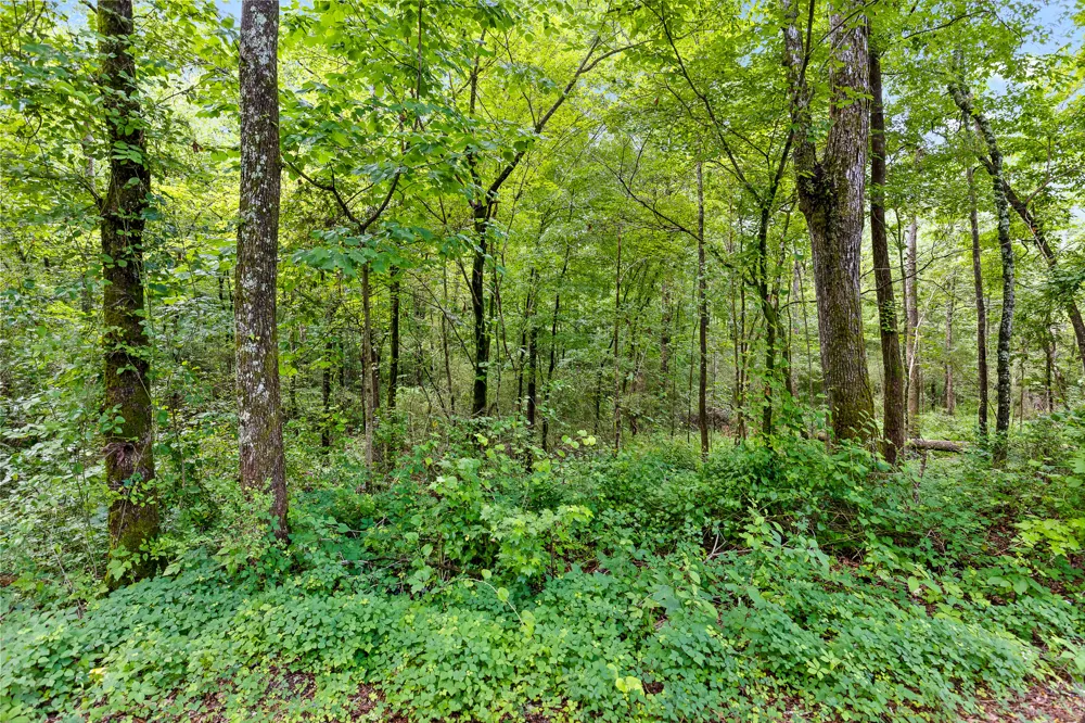 Highway 27 LaFayette, GA 30728