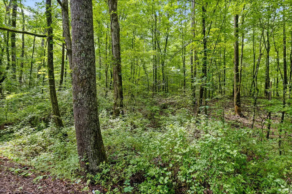 Highway 27 LaFayette, GA 30728