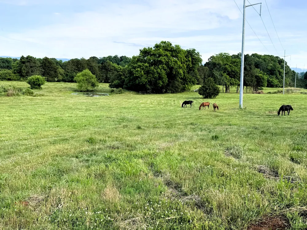 175 County Road 571 Englewood, TN 37329