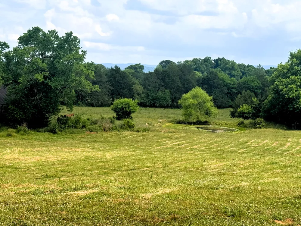 175 County Road 571 Englewood, TN 37329