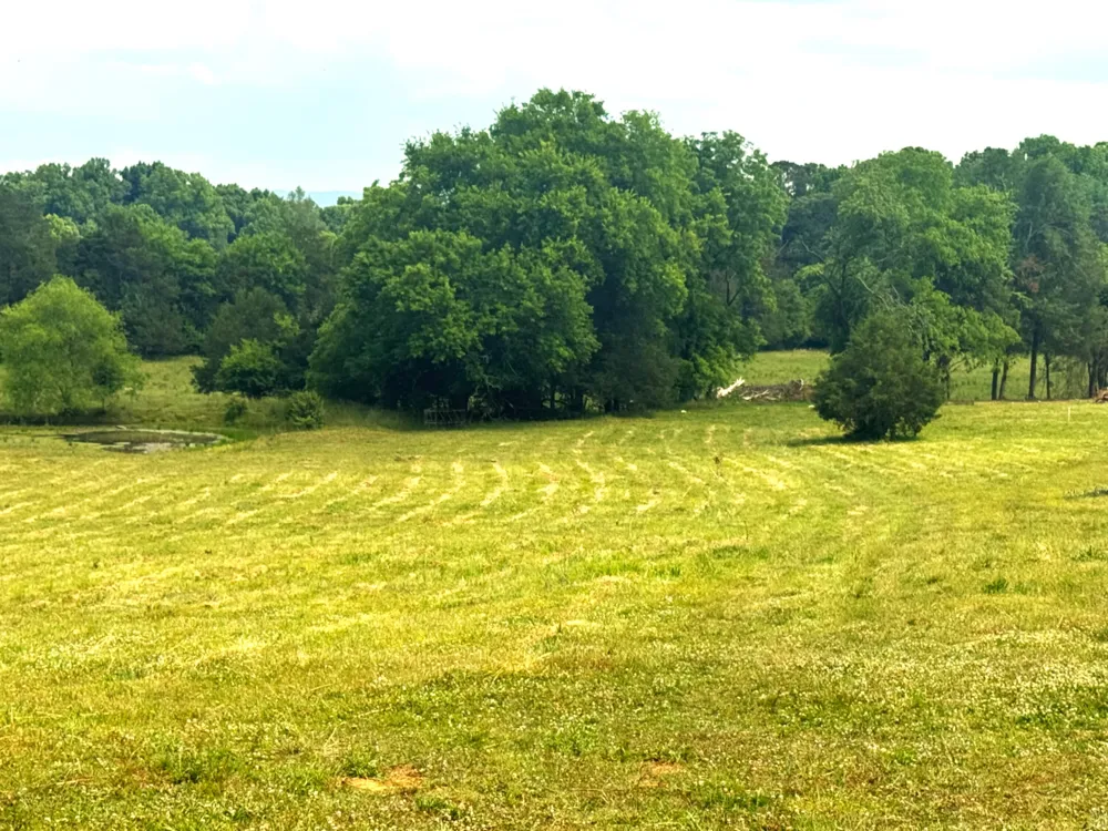 175 County Road 571 Englewood, TN 37329