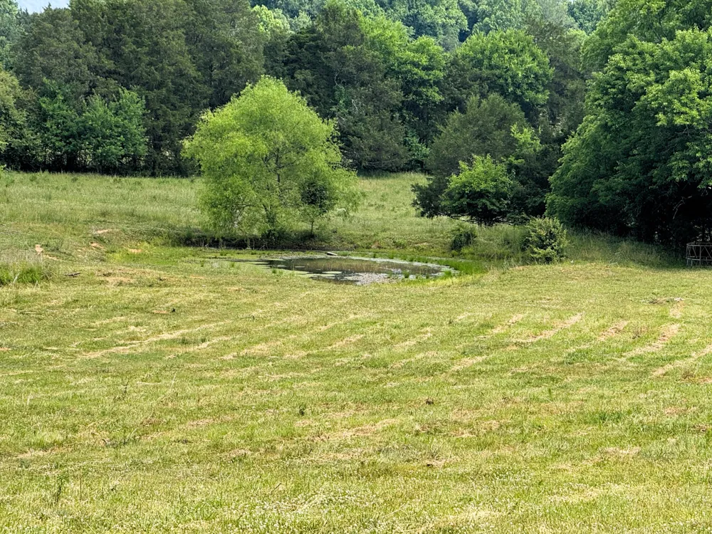 175 County Road 571 Englewood, TN 37329