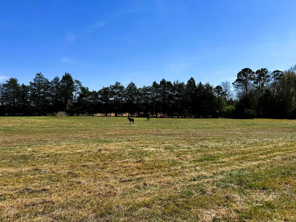 175 County Road 571 Englewood, TN 37329