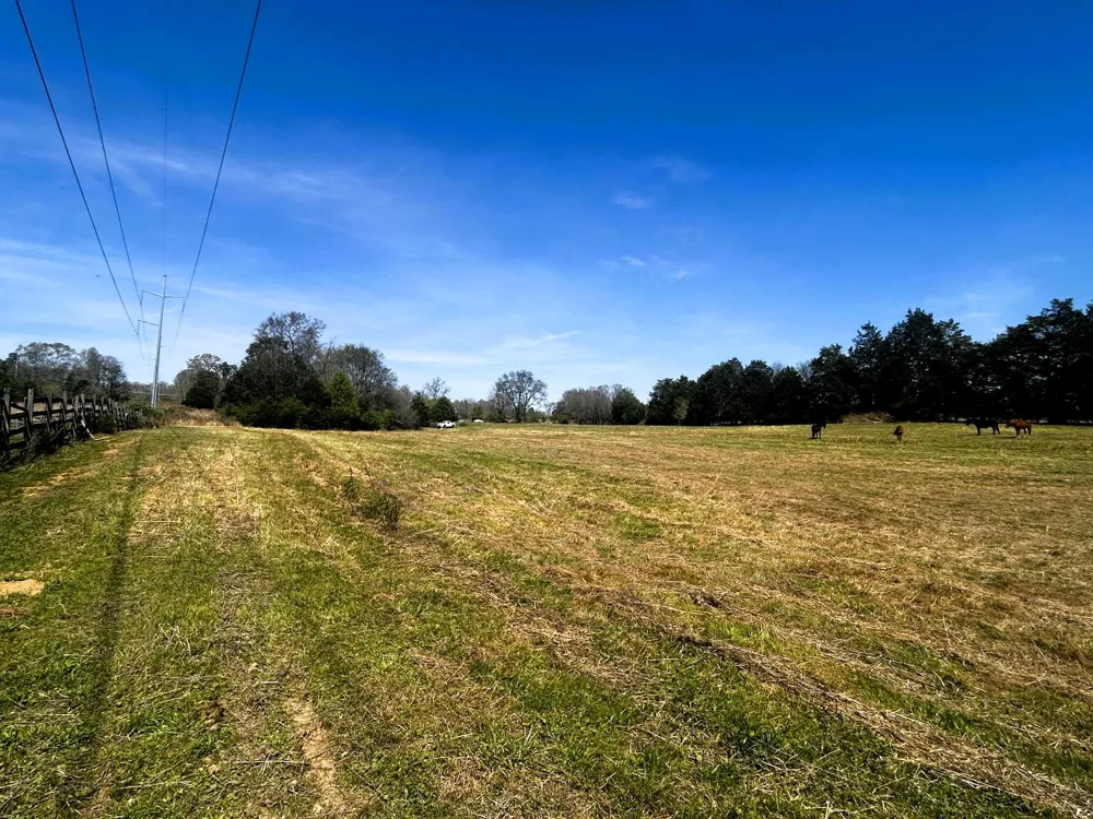175 County Road 571 Englewood, TN 37329