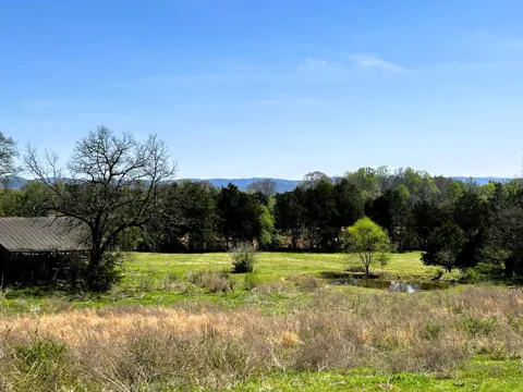 175 County Road 571
