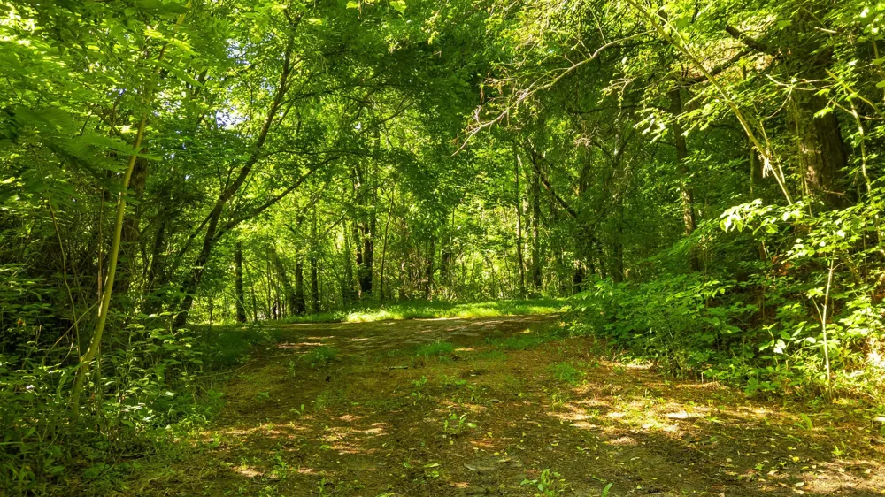 Off Highway 411 Highway Crandall, GA 30711