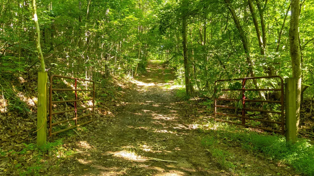 Off Highway 411 Highway Crandall, GA 30711