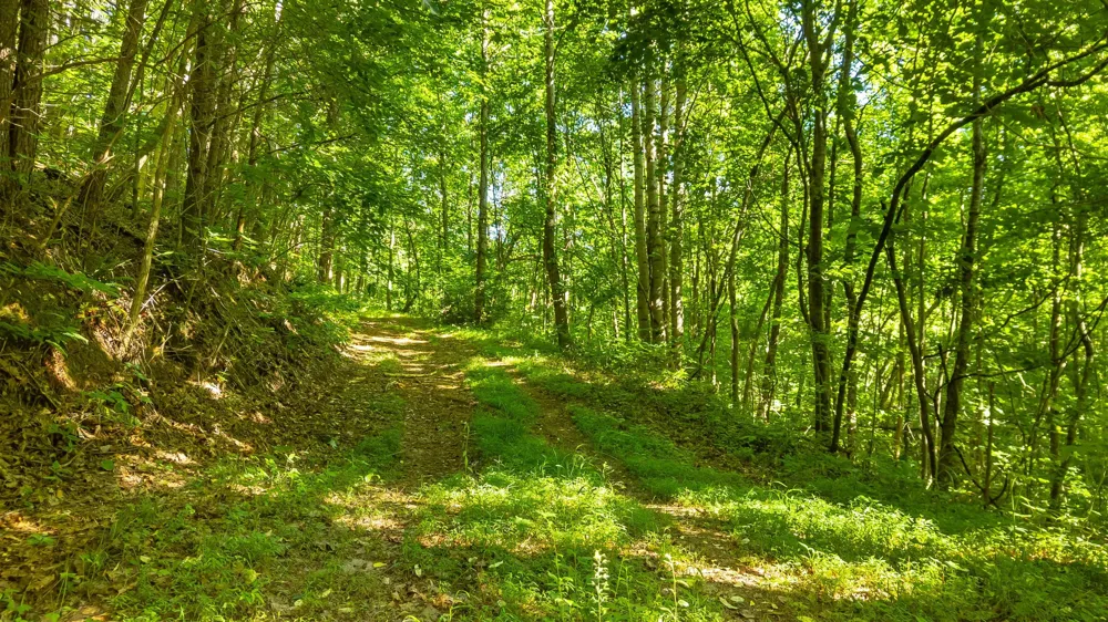 Off Highway 411 Highway Crandall, GA 30711