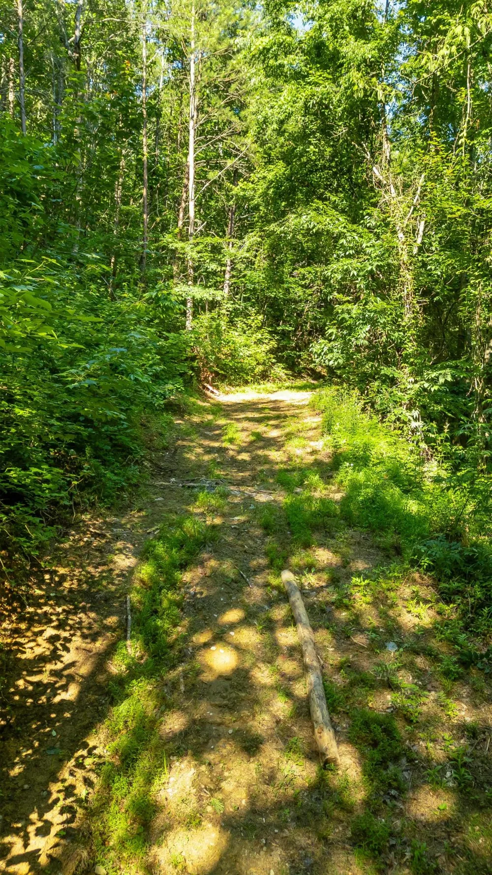 Off Highway 411 Highway Crandall, GA 30711