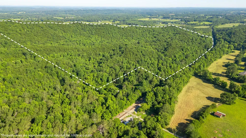 Off Highway 411 Highway Crandall, GA 30711