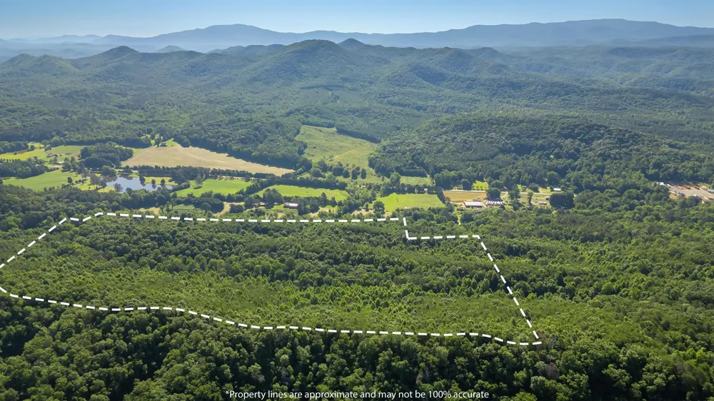 Off Highway 411 Highway Crandall, GA 30711