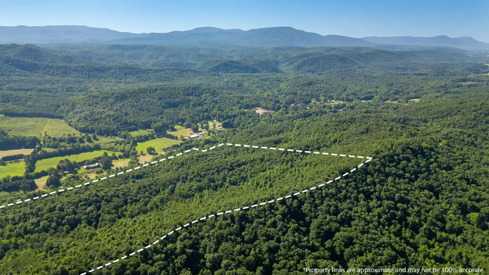 Off Highway 411 Highway Crandall, GA 30711