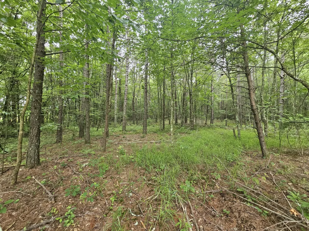 229 Windstone Drive Tracy City, TN 37387