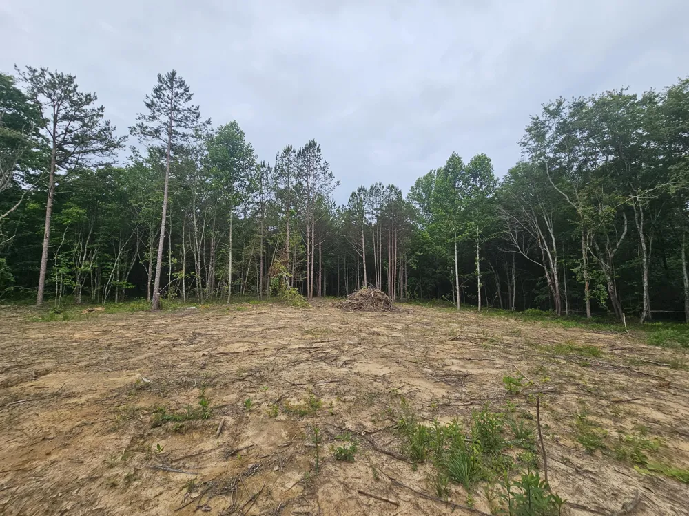 229 Windstone Drive Tracy City, TN 37387