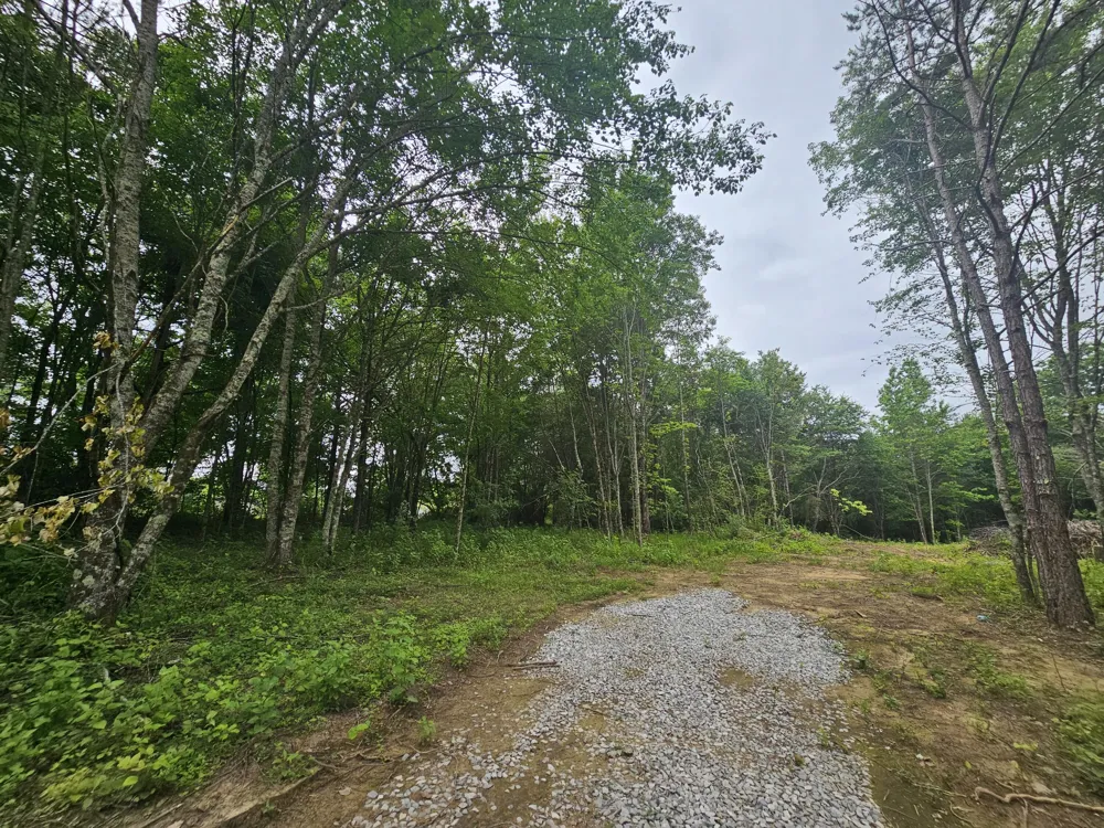 229 Windstone Drive Tracy City, TN 37387