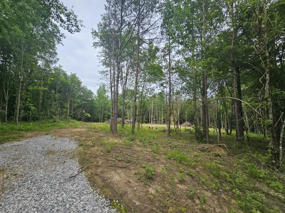 229 Windstone Drive Tracy City, TN 37387