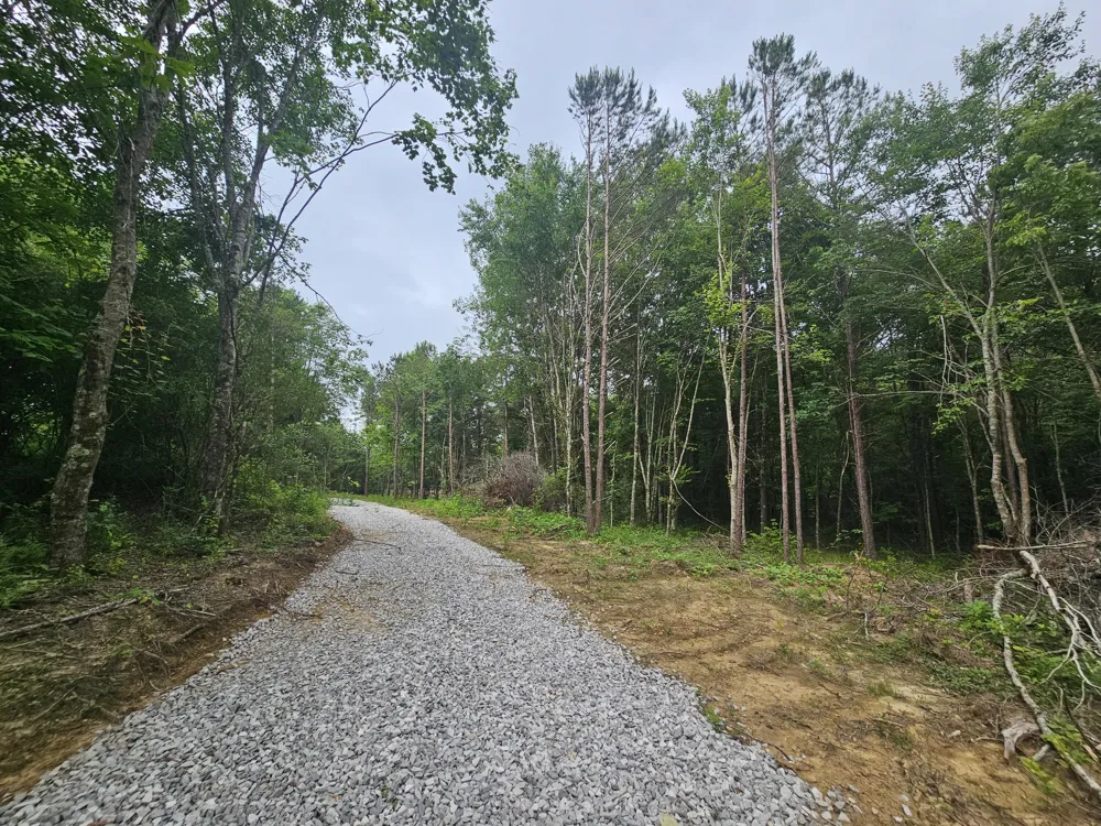 229 Windstone Drive Tracy City, TN 37387
