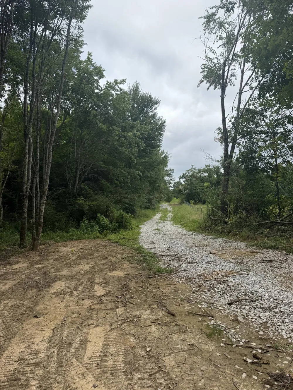 229 Windstone Drive Tracy City, TN 37387
