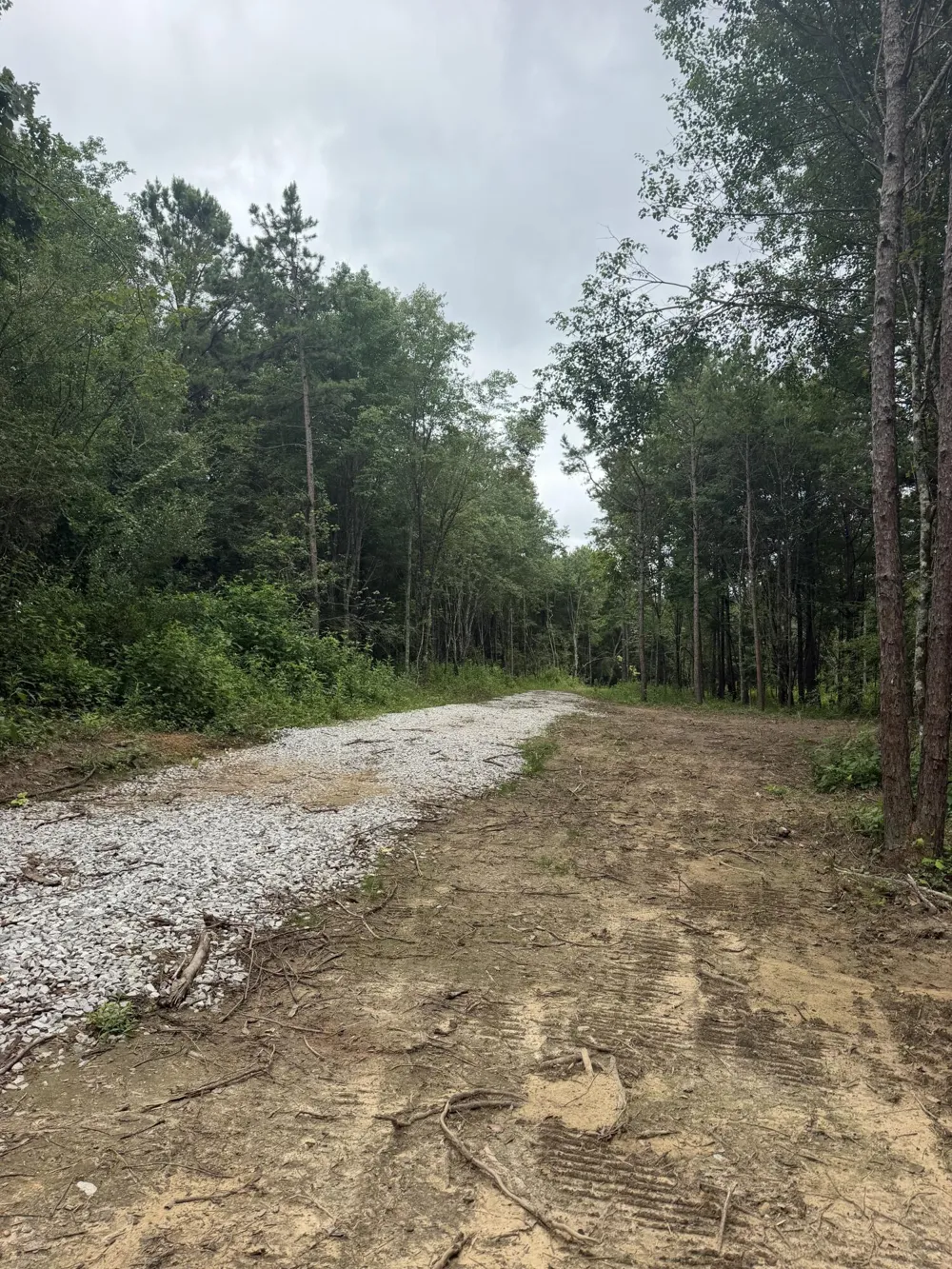 229 Windstone Drive Tracy City, TN 37387