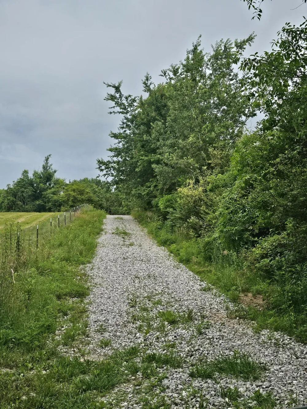 229 Windstone Drive Tracy City, TN 37387